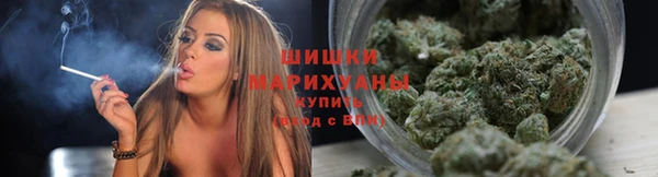 герыч Пересвет
