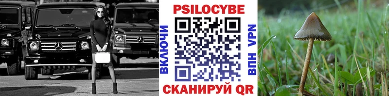 Псилоцибиновые грибы Psilocybine cubensis  купить наркотик  Чёрмоз 